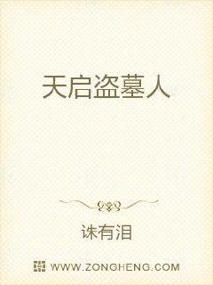 天启盗墓人章节列表