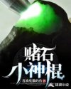 赌石小神棍章节列表