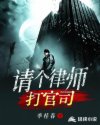 请个律师打官司章节列表