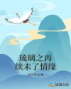 琉璃之再续未了情缘章节列表