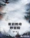 霍岩的奇妙冒险章节列表