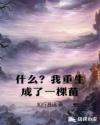 什么？我重生成了一棵苗章节列表