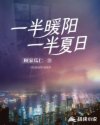 一半暖阳一半夏日章节列表