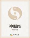 神照经章节列表