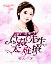 豪门私宠：总裁先生太难撩章节列表