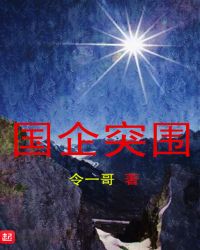 国企突围章节列表