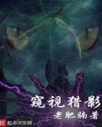 窥视猎影章节列表