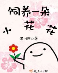 饲养一朵小花花章节列表