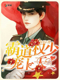 霸道厉少，宠上天章节列表