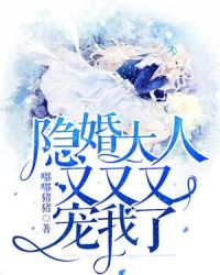 隐婚大人，又又又宠我了章节列表