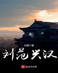 刘范兴汉章节列表