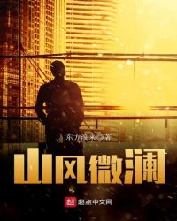 山风微澜章节列表