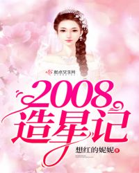 2008造星记章节列表