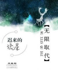 无限取代章节列表