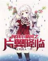 宠物小精灵之片翼降临章节列表