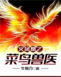 火凤凰之菜鸟兽医章节列表