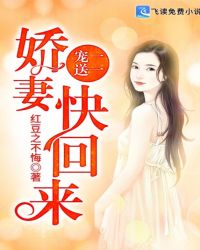 宠一送一：娇妻快回来章节列表