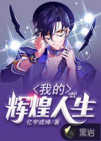 我的辉煌人生章节列表