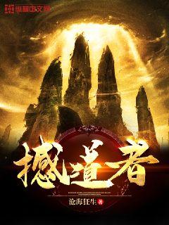 撼道者章节列表