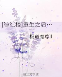 [综红楼]重生之后……章节列表