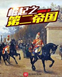 崛起之第二帝国章节列表