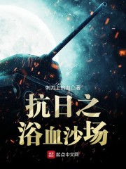 抗日之浴血沙场章节列表