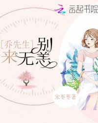 乔先生别来无恙章节列表