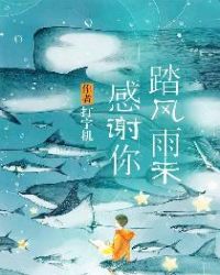 感谢你踏风雨来章节列表