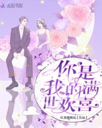 你是我的满世欢喜章节列表