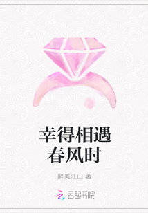 幸得相遇春风时章节列表