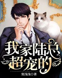 我家陆总超宠的章节列表