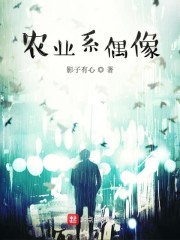 农业系偶像章节列表