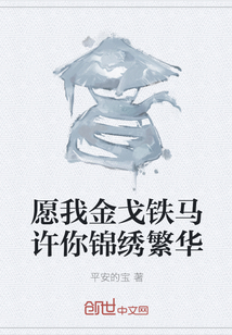 愿我金戈铁马许你锦绣繁华章节列表