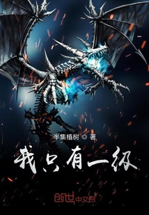 我只有一级章节列表