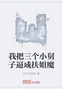 我把三个小舅子逼成扶姐魔章节列表