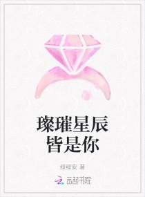 璨璀星辰皆是你章节列表