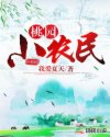 桃园小农民章节列表