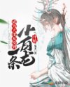 成为大佬从捡到一条小白龙开始章节列表
