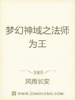 梦幻神域之法师为王章节列表