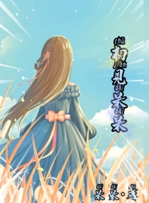 初见呆呆章节列表