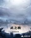 武之极章节列表