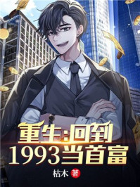 重生：回到1993当首富章节列表