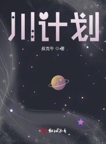 川计划章节列表