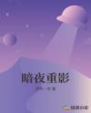 暗夜重影章节列表