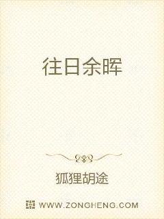 往日余晖章节列表