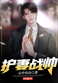 护妻战帅章节列表