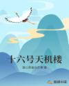 十六号天机楼章节列表