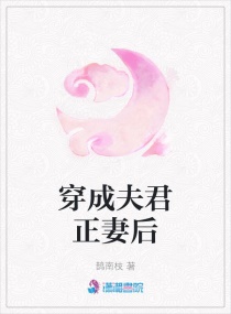 穿成夫君正妻后章节列表