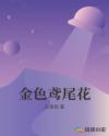 金色鸢尾花章节列表
