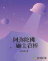 阿弥陀佛，施主看棒章节列表